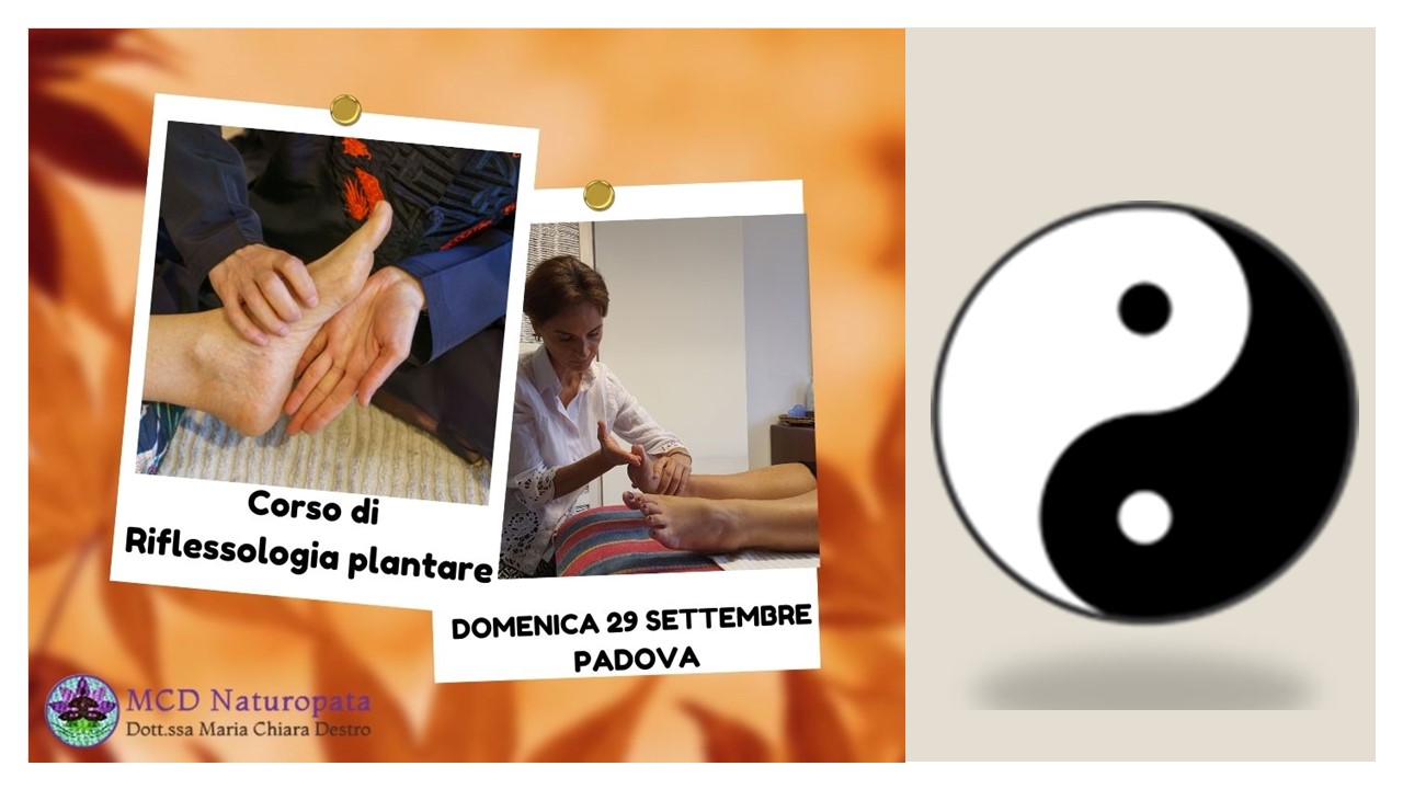 Corso Riflessologia plantare a Padova