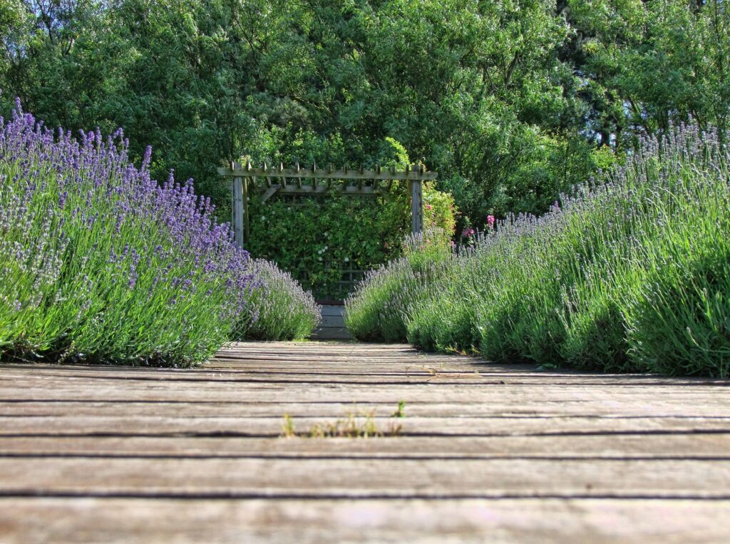 Corso di riflessologia plantare a Padova