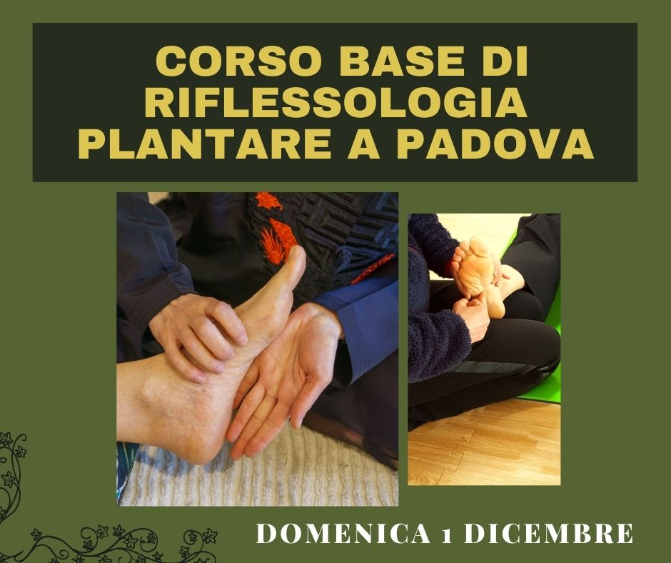 Corso di riflessologia plantare Padova dicembre 2024